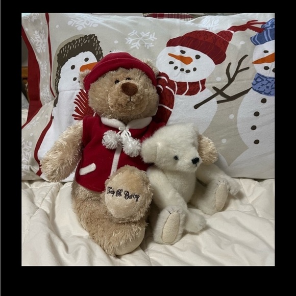 3 🎄Teddy B Caring Bears Collection Stuffed Animal New Tag #7 Gund® Teddy - Picture 9 of 11